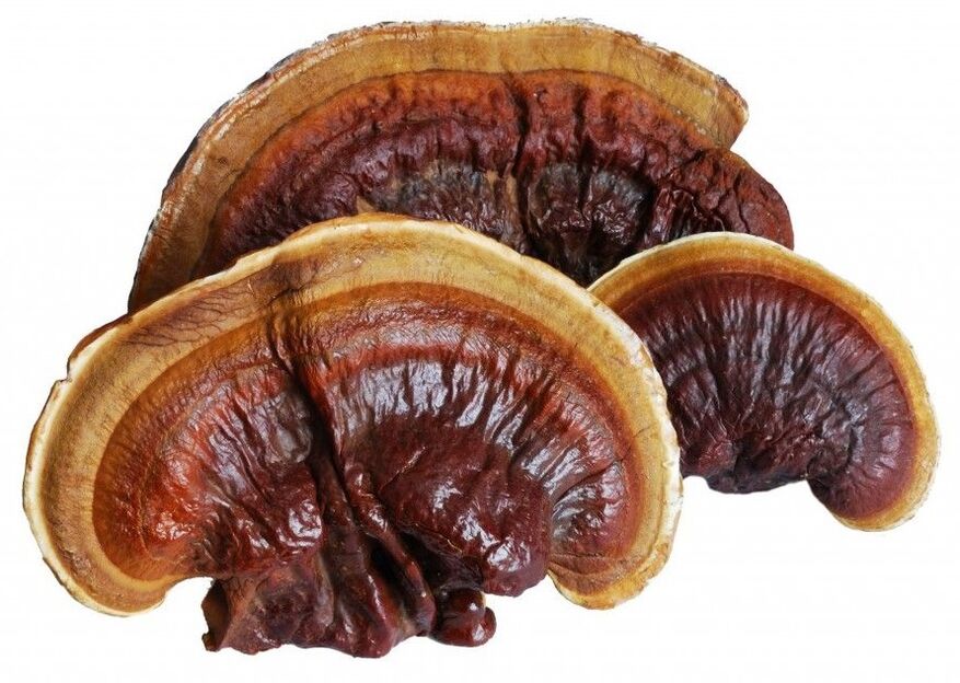 Magicoa contains reishi mushrooms